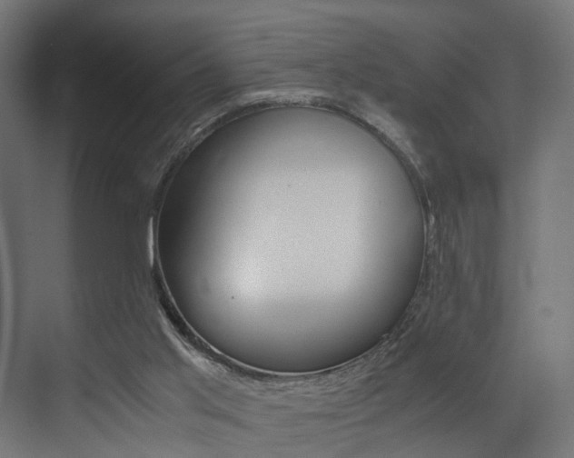X0000073530013200607311027