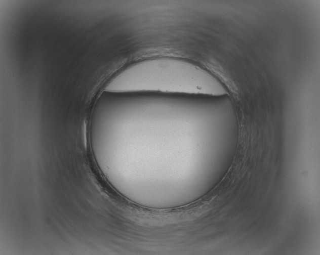 X0000073530014200607311027