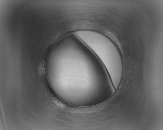 X0000073530017200607311027