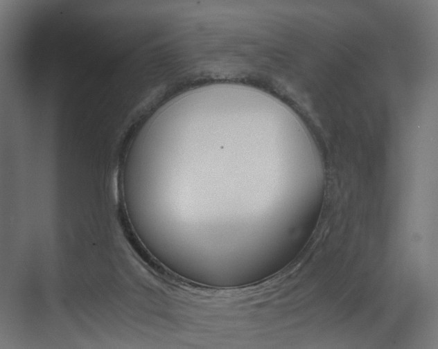 X0000073530019200607311027