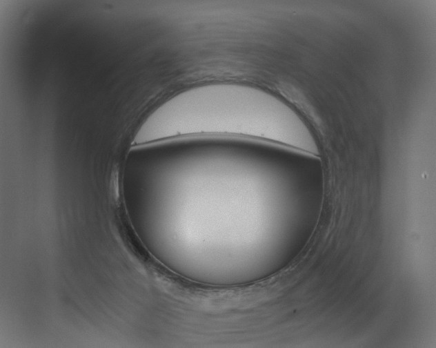 X0000073530021200607311027