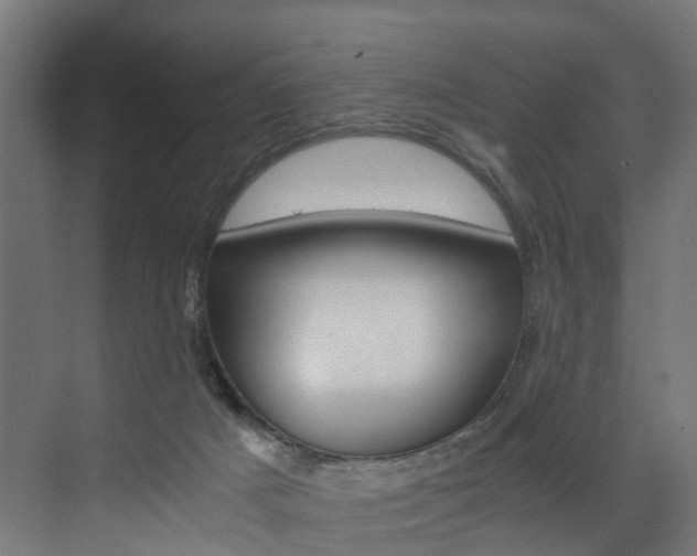 X0000073530025200607311027