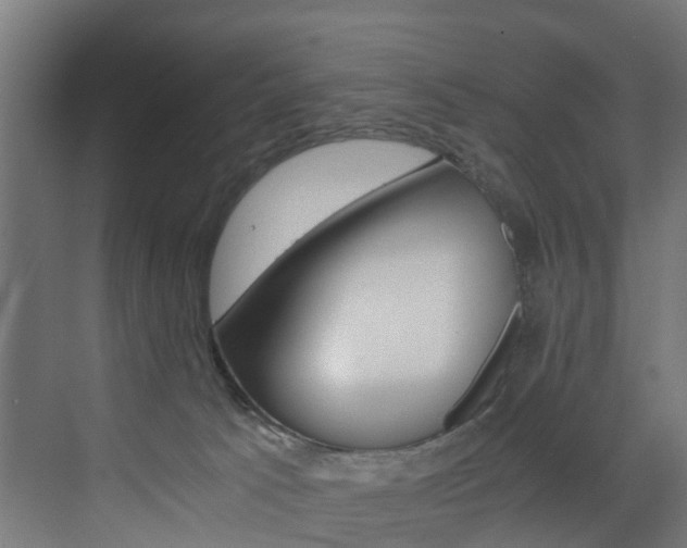 X0000073530033200607311027