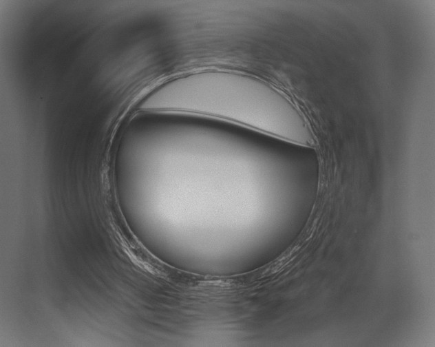 X0000073530050200607311026