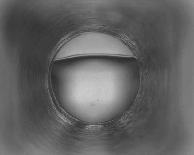 X0000073530051200607311026