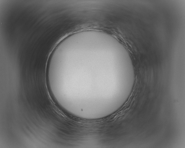 X0000073530052200607311026