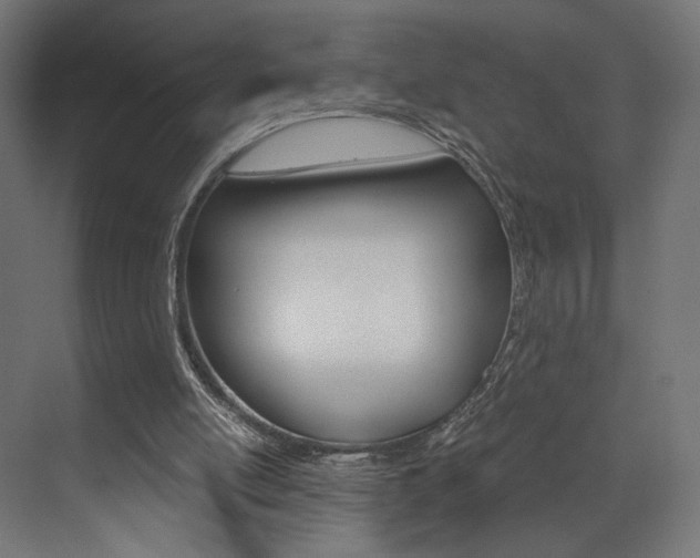X0000073530054200607311026