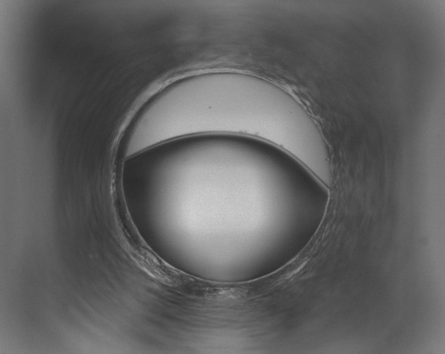 X0000073530056200607311026