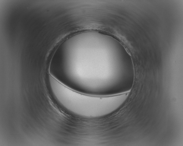 X0000073530060200607311026