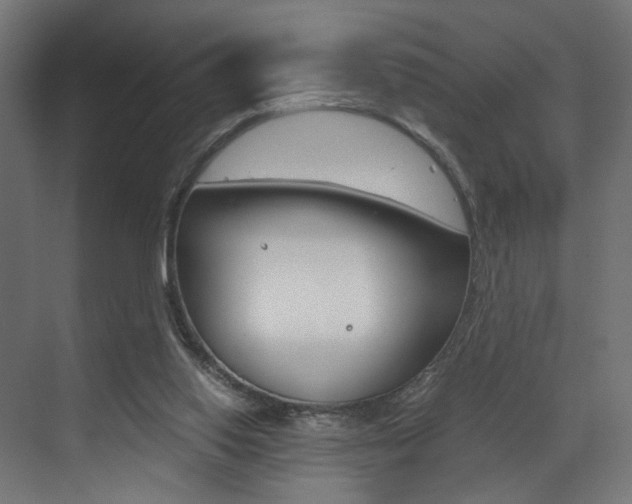 X0000073530062200607311026