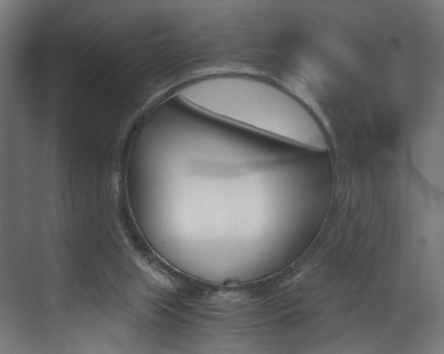 X0000073530063200607311026