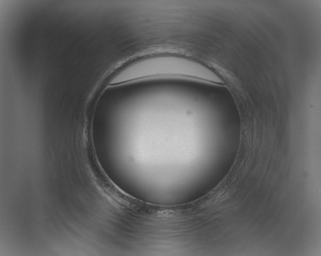 X0000073530064200607311026