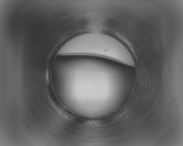 X0000073530067200607311026