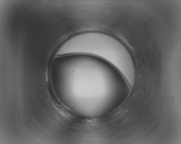 X0000073530068200607311026