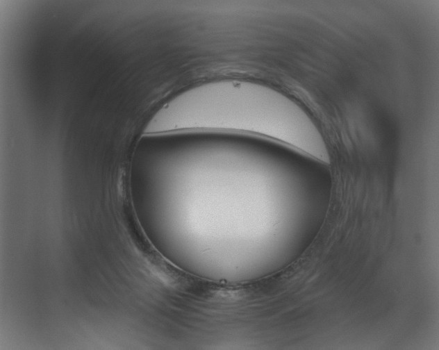X0000073530071200607311026