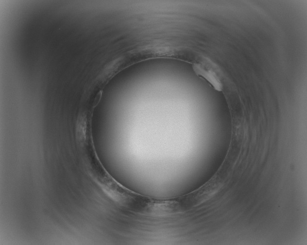 X0000073530072200607311026