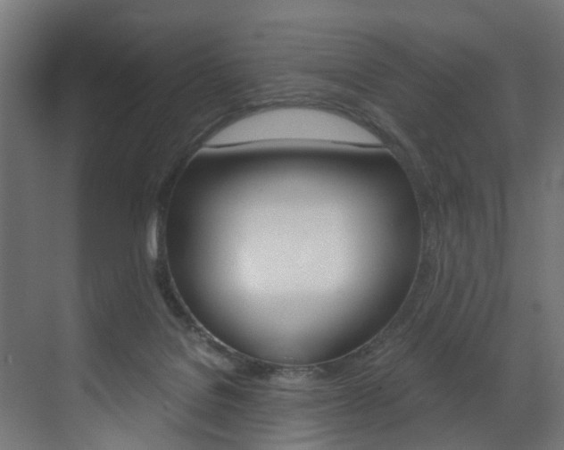 X0000073530076200607311026