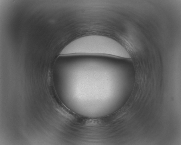 X0000073530077200607311026