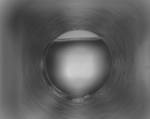 X0000073530084200607311026