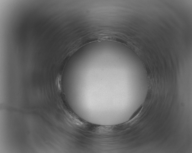 X0000073530094200607311026