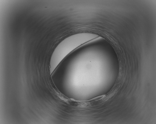 X0000073530096200607311026