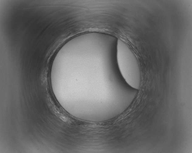 X0000073530098200607311026