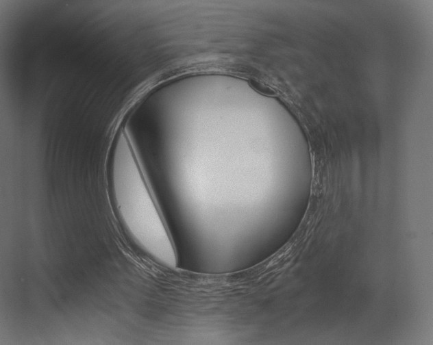 X0000073530099200607311026