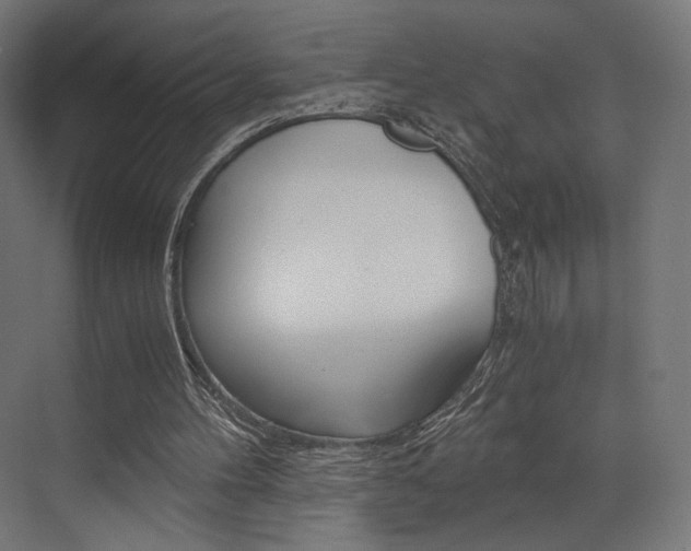 X0000073530100200607311026