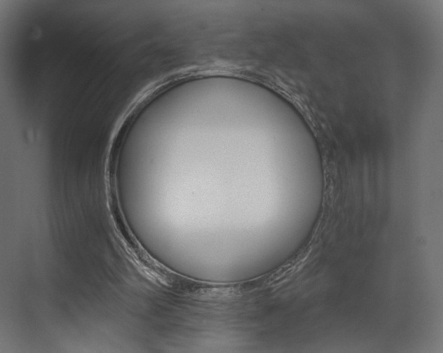 X0000073530102200607311026