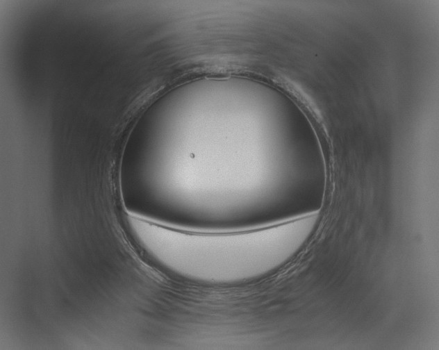 X0000073530105200607311026