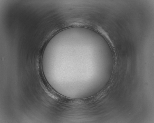 X0000073530106200607311026