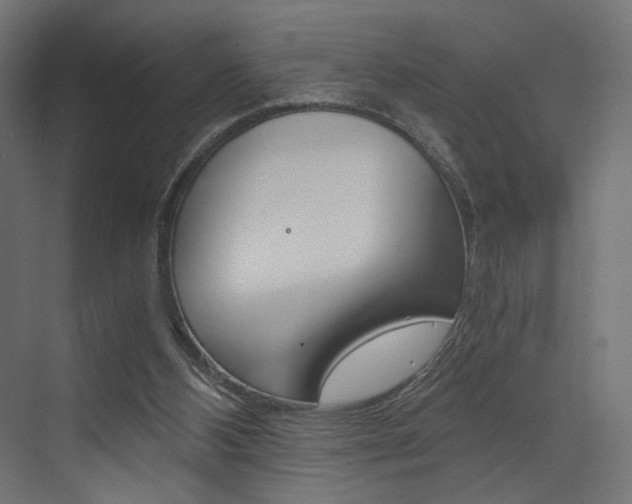 X0000073530108200607311026