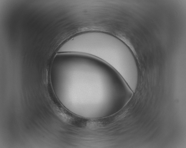 X0000073530109200607311025