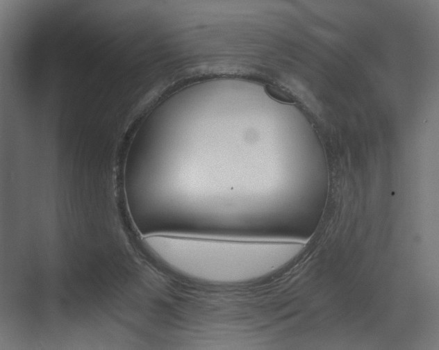 X0000073530111200607311025