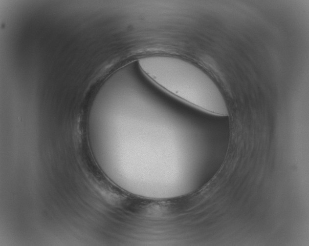 X0000073530116200607311025