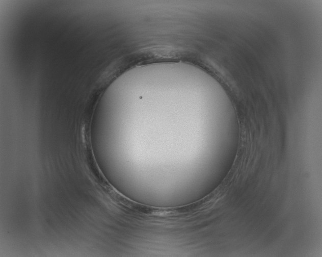 X0000073530117200607311025