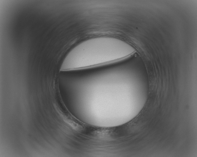 X0000073530120200607311025
