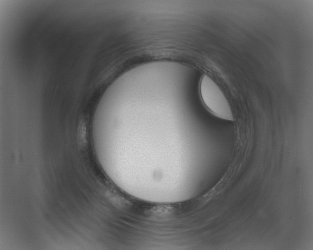 X0000073530124200607311025