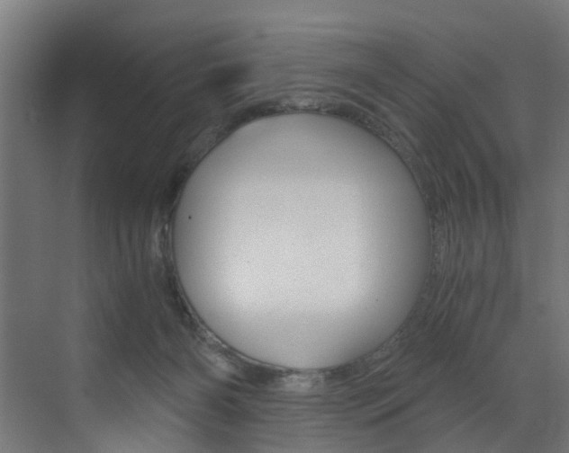X0000073530126200607311025