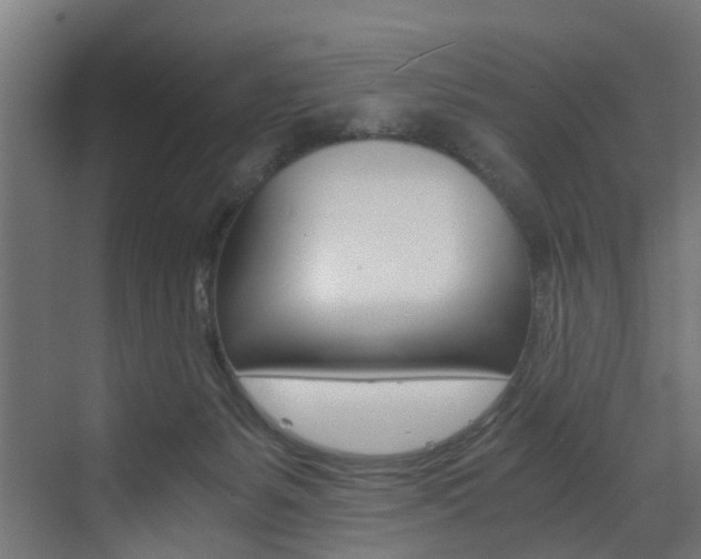 X0000073530127200607311025