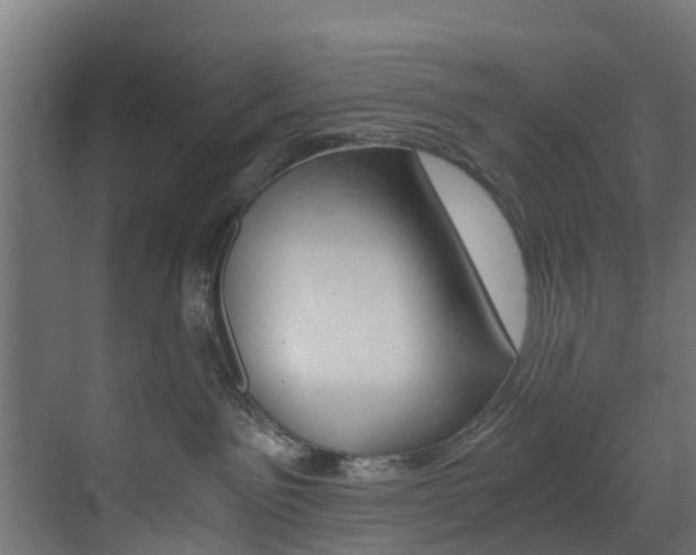 X0000073530141200607311025