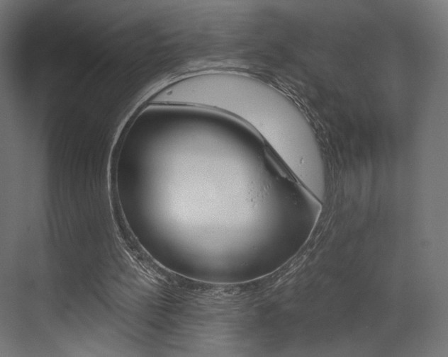 X0000073530148200607311024