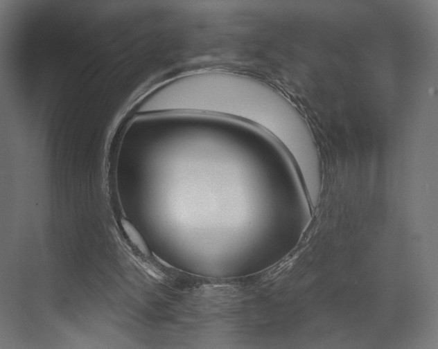 X0000073530150200607311024