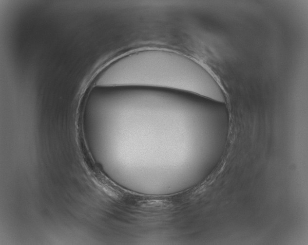 X0000073530151200607311024