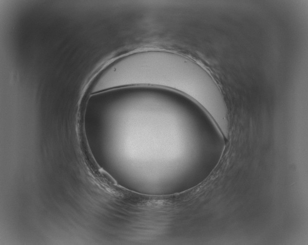 X0000073530152200607311024