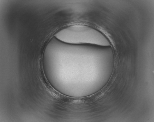 X0000073530153200607311024