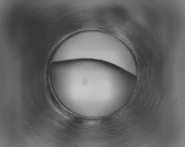 X0000073530155200607311024
