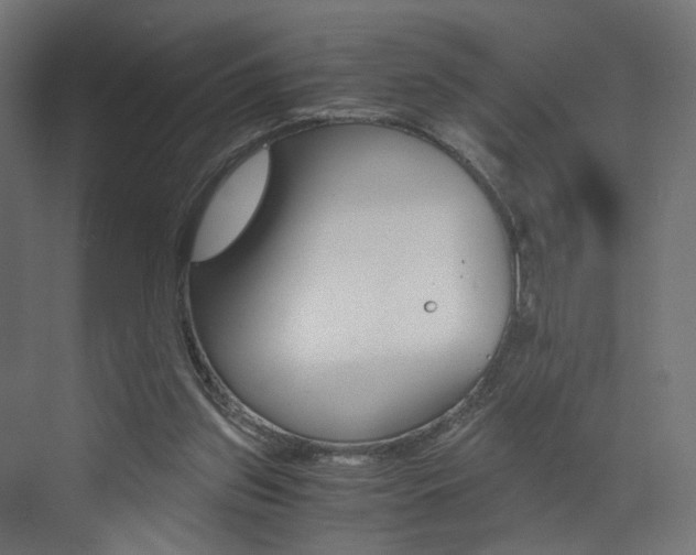 X0000073530157200607311024