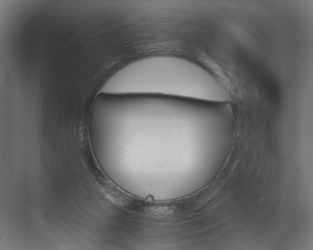 X0000073530161200607311024