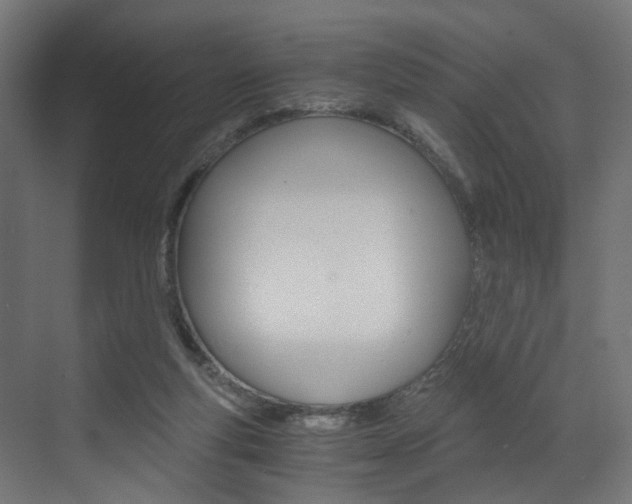 X0000073530163200607311024